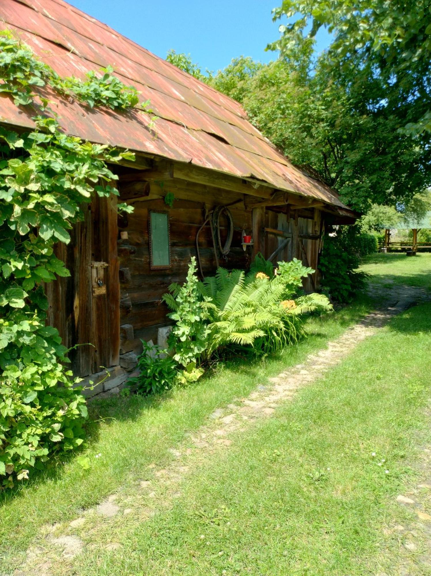 Dom Sloneczko Pokoje Do Wynajecia W Bialowiezy Bialowieza Ngoại thất bức ảnh